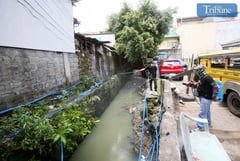 Record Baguio dengue cases attributed to prevention failures